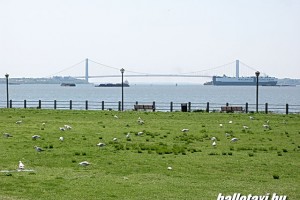 nyc_136.JPG