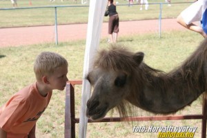 Img_16392.JPG