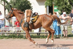 Img_16729.JPG