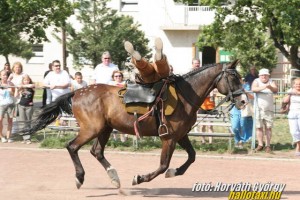 Img_16733.JPG
