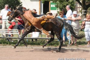 Img_16735.JPG