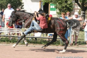 Img_16744.JPG