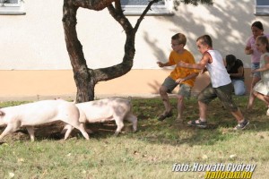 Img_16776.JPG