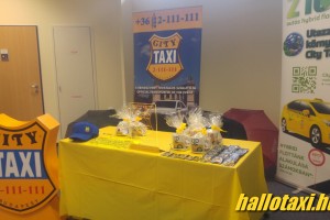 taxiexpo_17_020.jpg