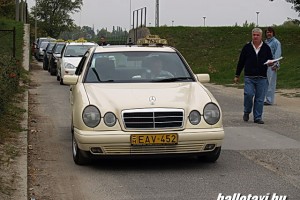 600.JPG