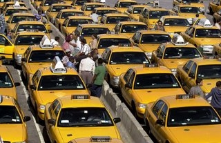 Taxisok kontinenstalálkozója